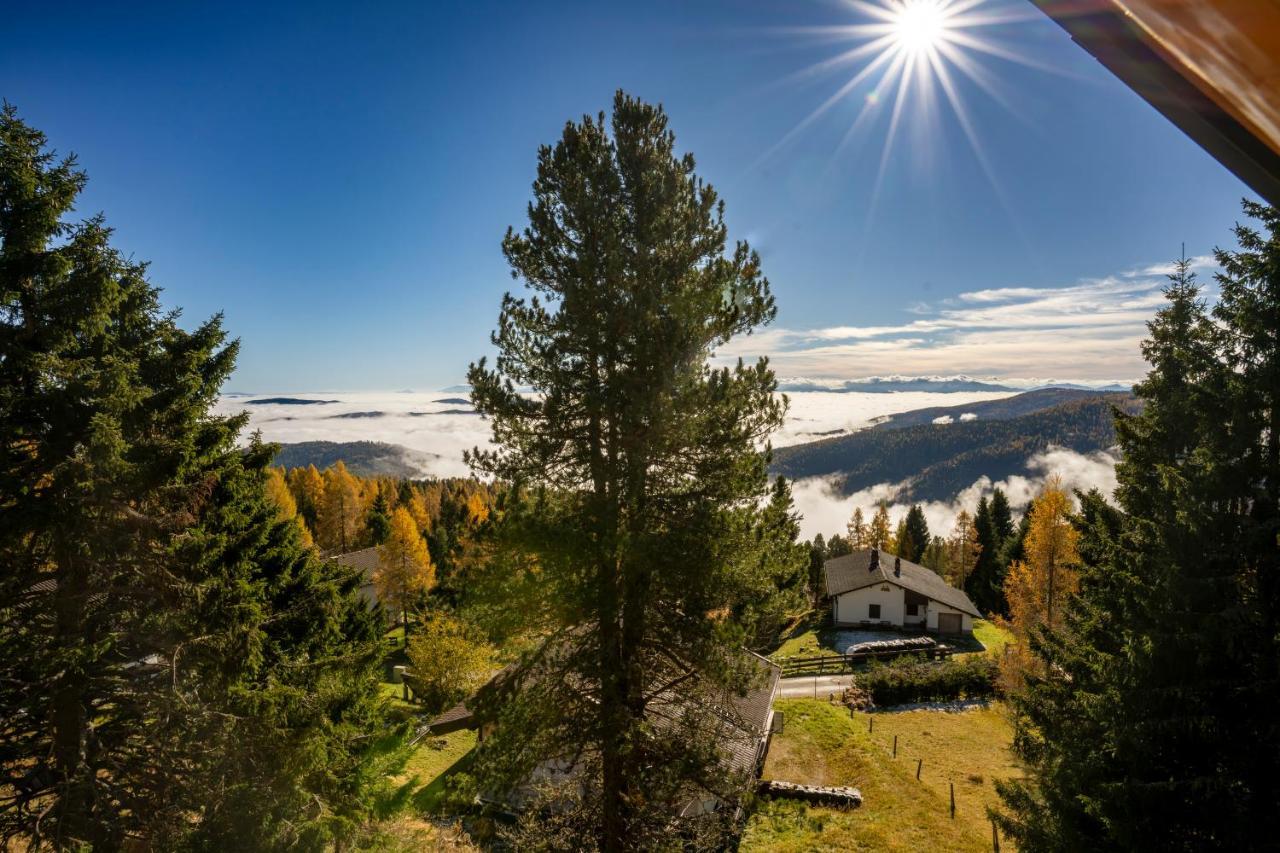 Chalet Non-Sens By L'Occitane Hochrindl Dış mekan fotoğraf